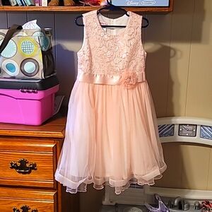 Flower girl dress size 6x (pink)